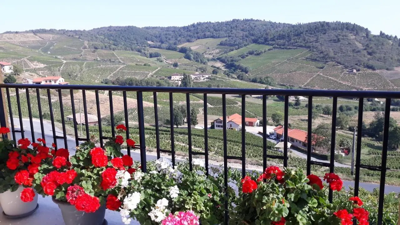 Guest house Domaine Du Coteau Des Lys Hotel Fleurie